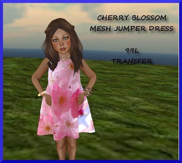 CHERRY BLOSSOM MESH JUMPER DRESS