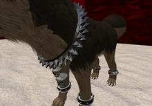 Twi~wolf collar Skulls Spikes (Scripted)