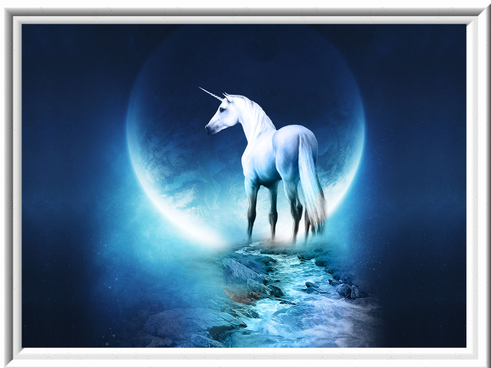 Einhorn 1x1,4