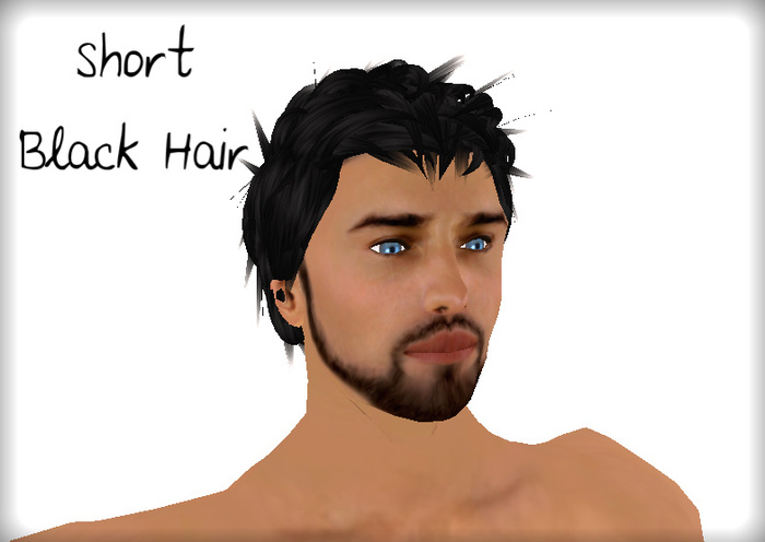 Raif - Male Black Short Hair