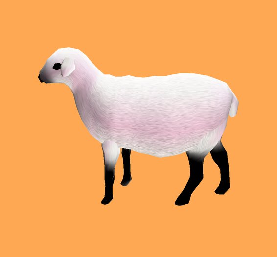 Sheep with Sound on Touch by Rita Munro 