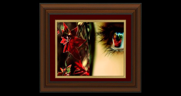 Her Eye Framed Artwork