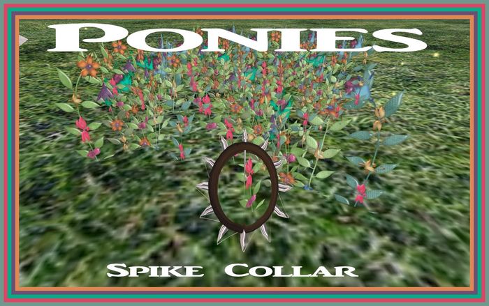 Pony Spike Collar