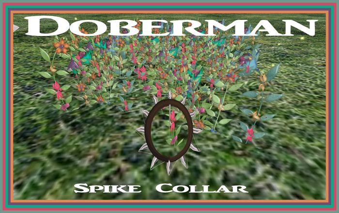 Doberman Spike Collar