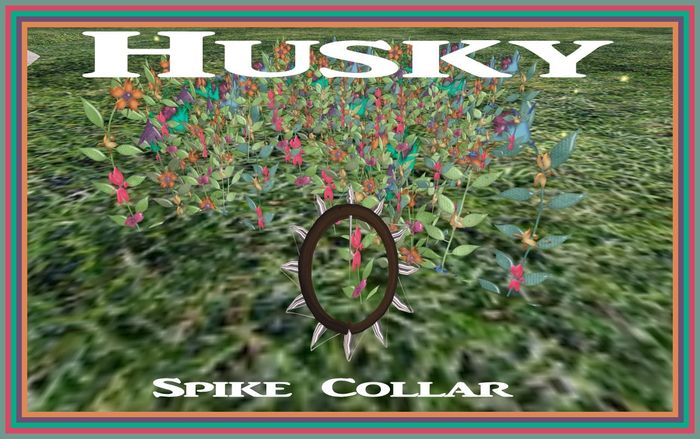 Husky Spike Collar