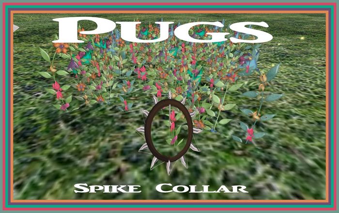 Pugs Spike Collar