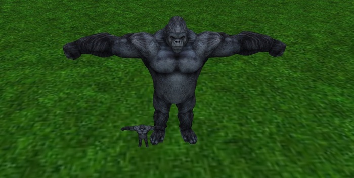 ARM - A Rigged Mesh - Silverback Gorillas!