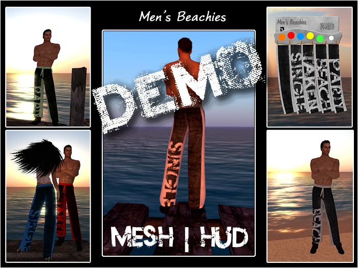 -DEMO- Mesh Men's Beachies + HUD