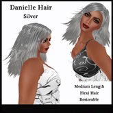 Danielle Hair / Silver