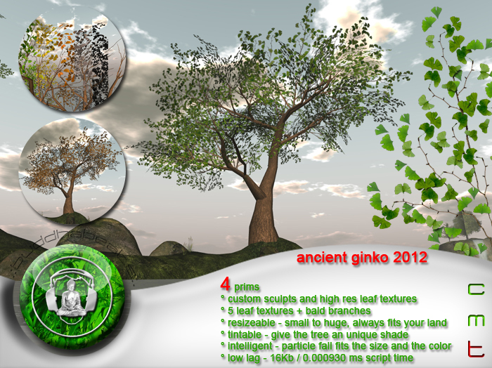 .:buddhabeats:. Ancient Ginko 2012