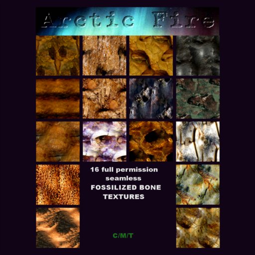 16 Fossilized Bone Textures Boxed