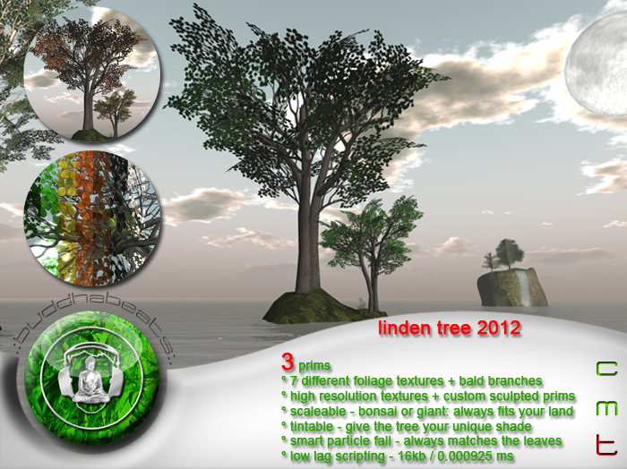 .:buddhabeats:. Linden Tree 2012