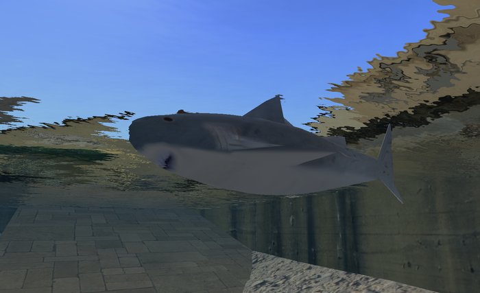 *Shark v2.0*