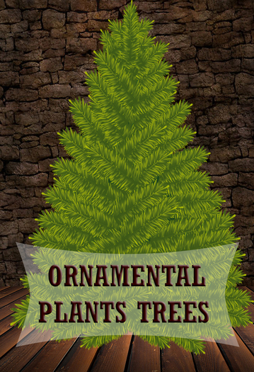 Trees 1