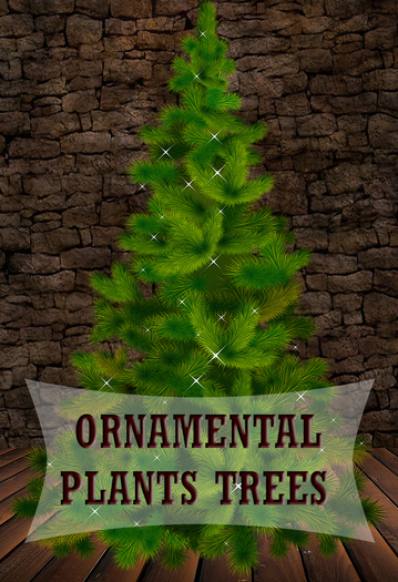 Trees 6