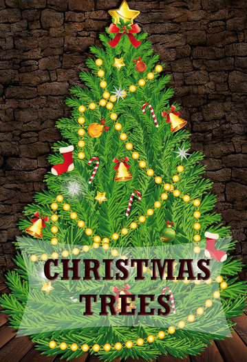 Christmas tree 11