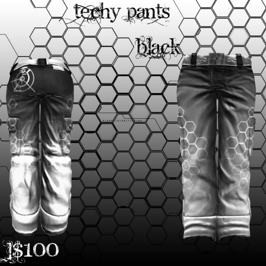 {EVE} Techy Pants Black