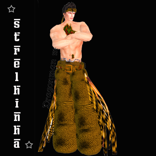 dragonman c