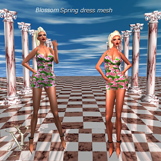 Blossom  mesh dress