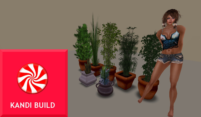 KANDI BUILD House plant set A Box