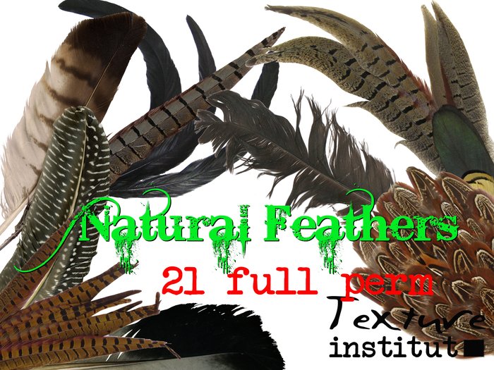 Natural Feathers Texture Pack-Full Perm