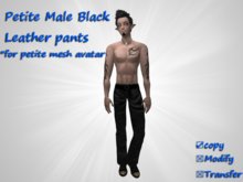 *Angel Rae's*petite male black leather pants