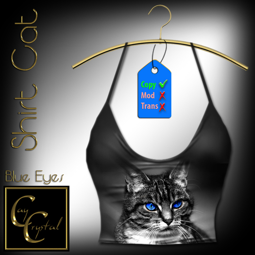 CCD Shirt Cat Blue Eyes
