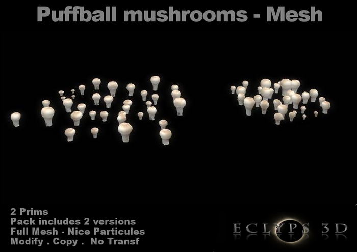 Pack Puffball Mushrooms box