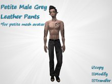 *Angel Rae's*Petite Male Grey Leather Pants