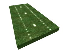 MyWay Grass with Spots linked and single