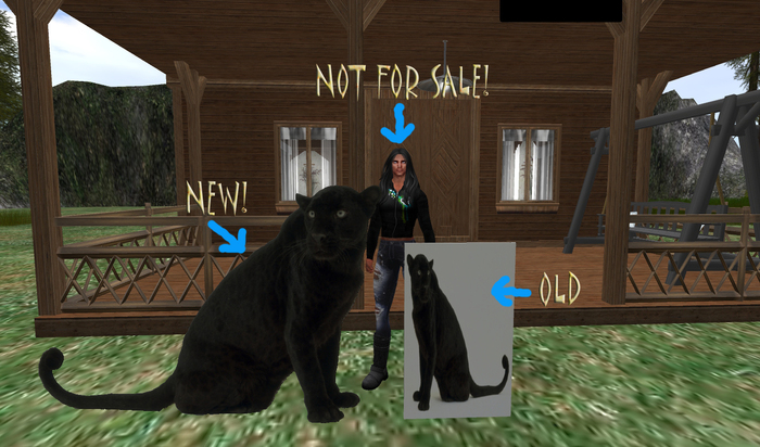 Panther Tip Jar (Revised)