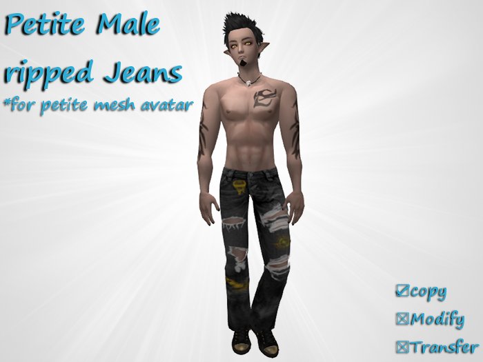 *Angel Rae's*Petite Male Ripped Jeans