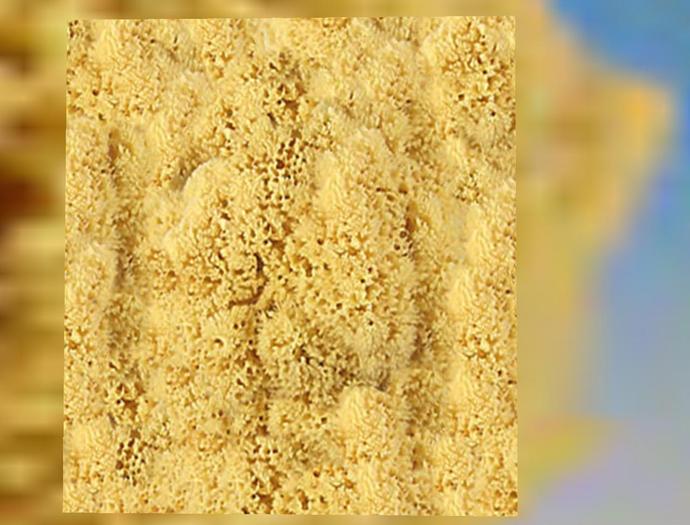 Karikko Natural Sponge Texture 