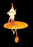 Mushroom Fairy Dram by H&G