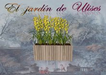 yellow orchid gardener/jardinera madera orquideas amarillas