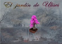 bougainvillea bonsai/bomsai bugambille