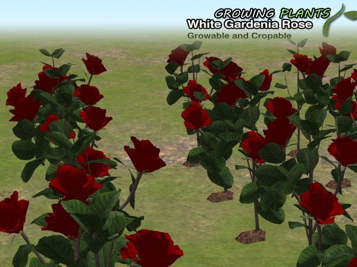 Promotion!!!  Growing Plants – Mesh Growable and Cropable Red Gardenia Rose 