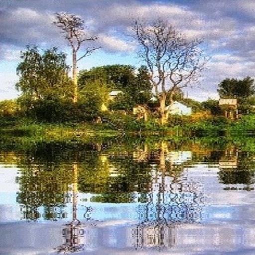 *OceMa*Forest Village
