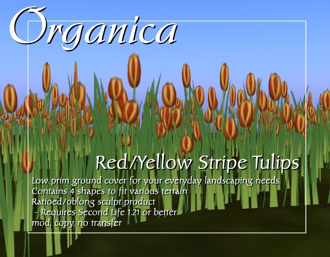 [ Organica ] Red/Yellow Tulips