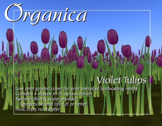 [ Organica ] Violet Tulips