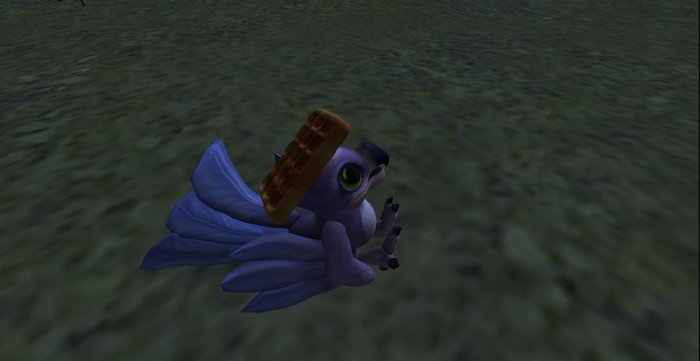 Aviaa Waffle Hat