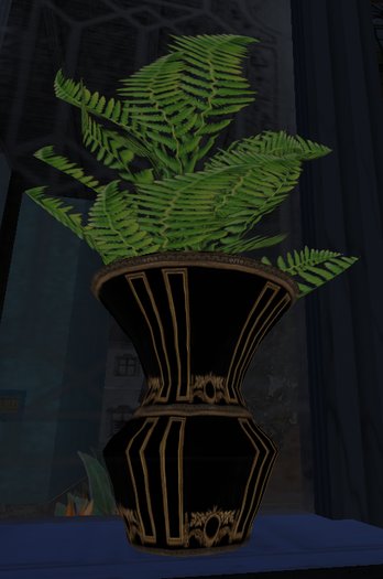 Fern in Black Vase SLX