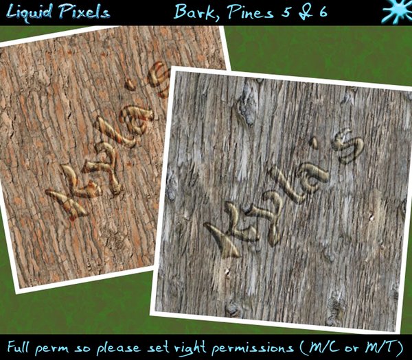 Bark, Pines 5 & 6