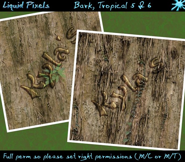 Bark, Tropical 5 & 6