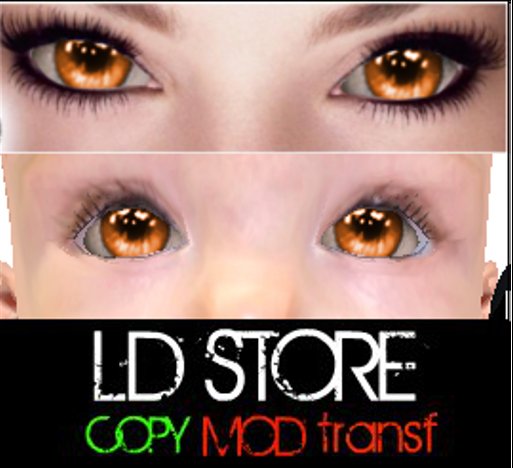 [LD] BABY EYE ORANGE