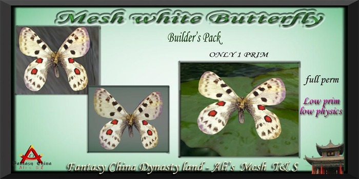  butterfly  with Texture 