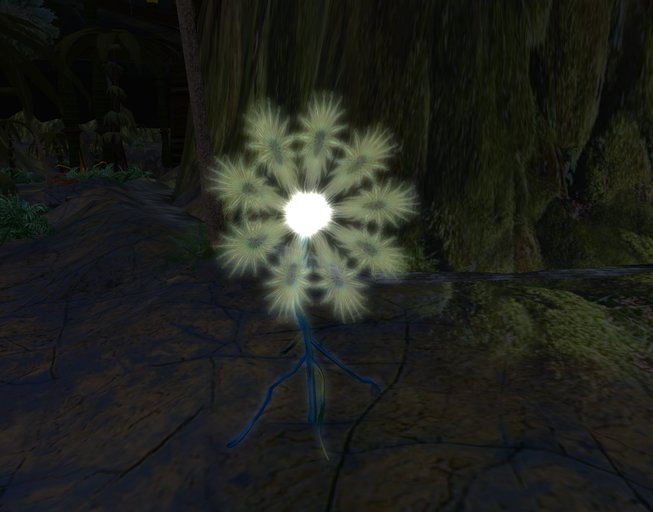 6 Alien flowers