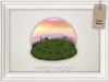 Grassy%20bubble%206