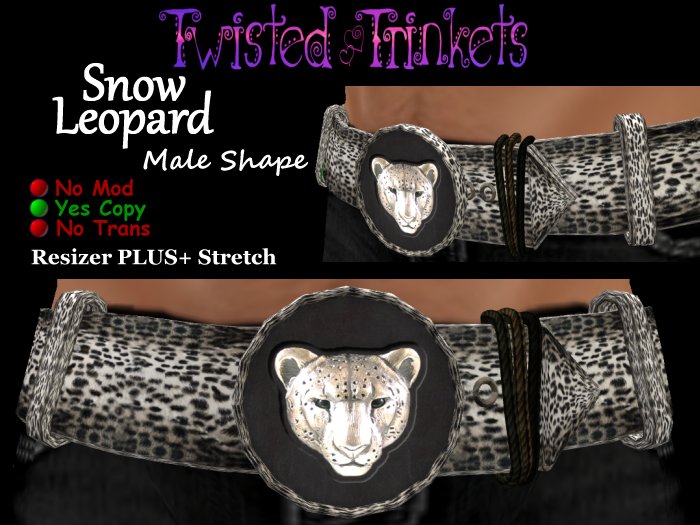 Belt Snow Leopard male