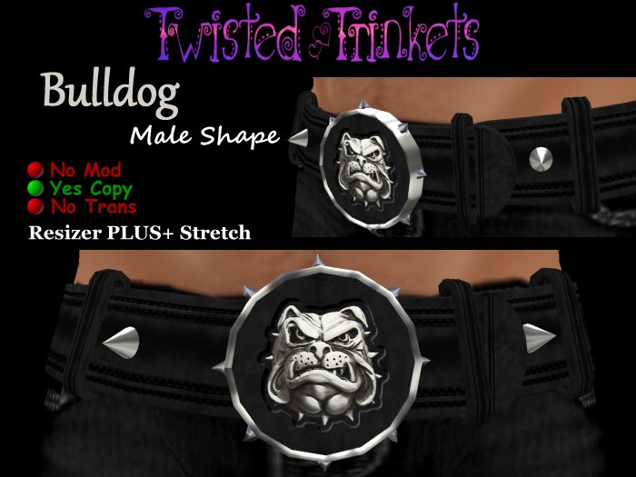 Belt Bulldog male